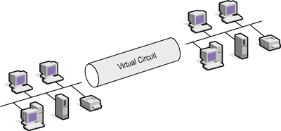 Virtual Cirucit